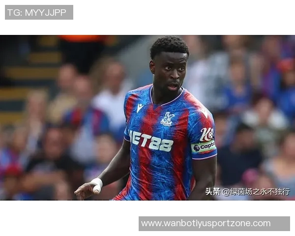 水晶宫冬窗计划引进博伊转会费预计达1300万英镑 水晶宫冬窗计划引进博伊转会费预计达1300万英镑